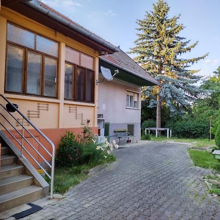 Ferienwohnung Zadora Haus Săcele Exterior foto